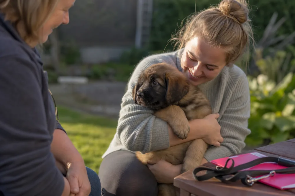 Nouvelle propriétaire tenant dans ses bras un chiot Leonberg lors de sa cession